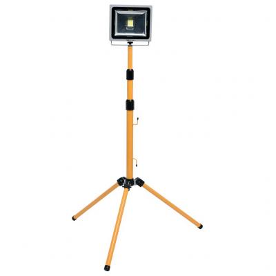 Reflektor, 30W, LED, �llv�nyos