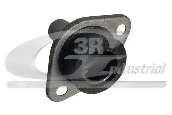 3RG 24219 3RG 24219