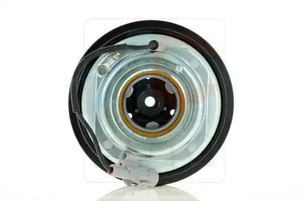 ACAUTO AC-06ZX29