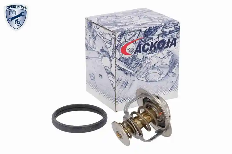 ACKOJA A38-99-0013 ACKOJA A38-99-0013
