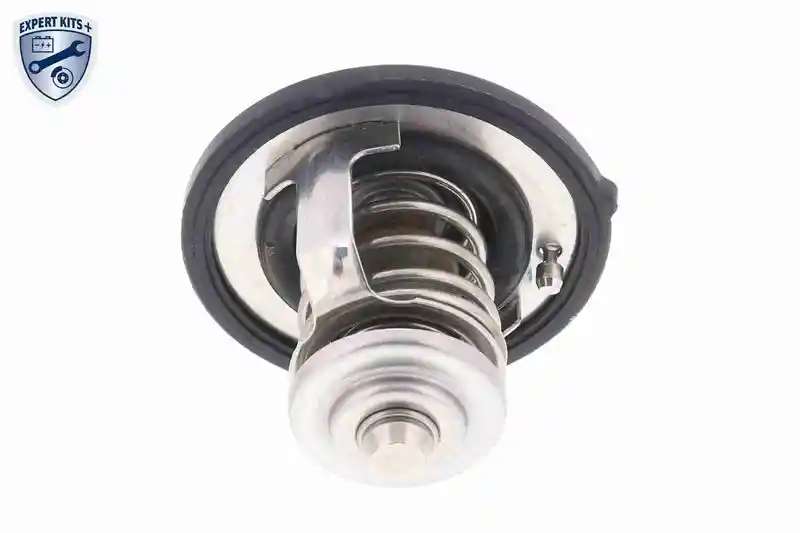 ACKOJA A52-99-0004