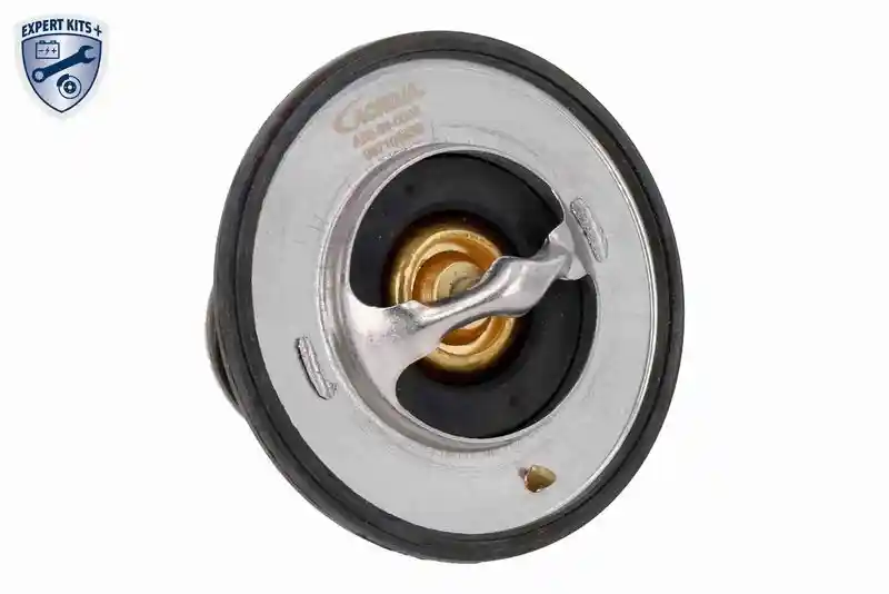 ACKOJA A52-99-0005