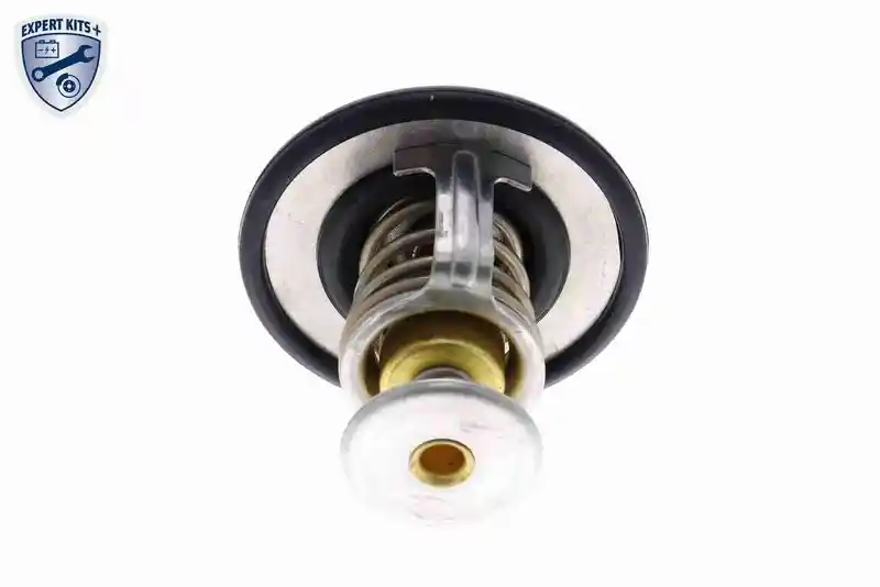 ACKOJA A52-99-0015