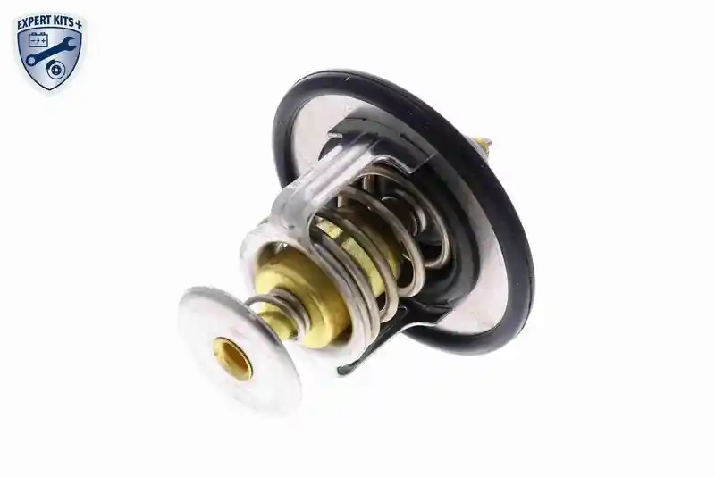 ACKOJA A52-99-0015