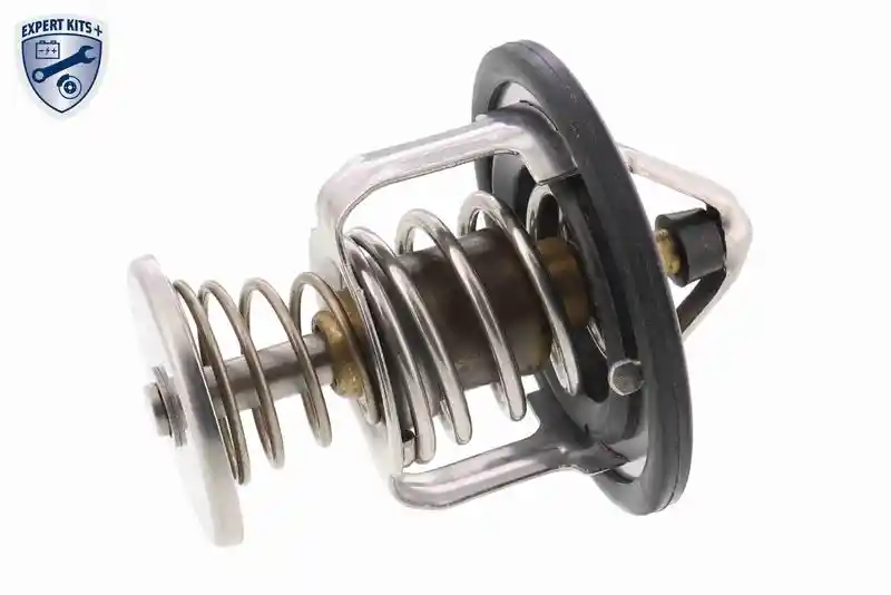 ACKOJA A55-99-0002