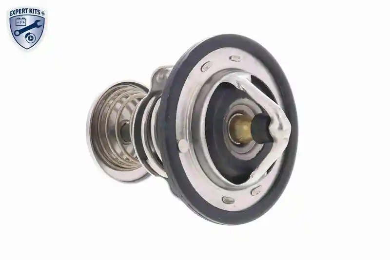 ACKOJA A55-99-0002
