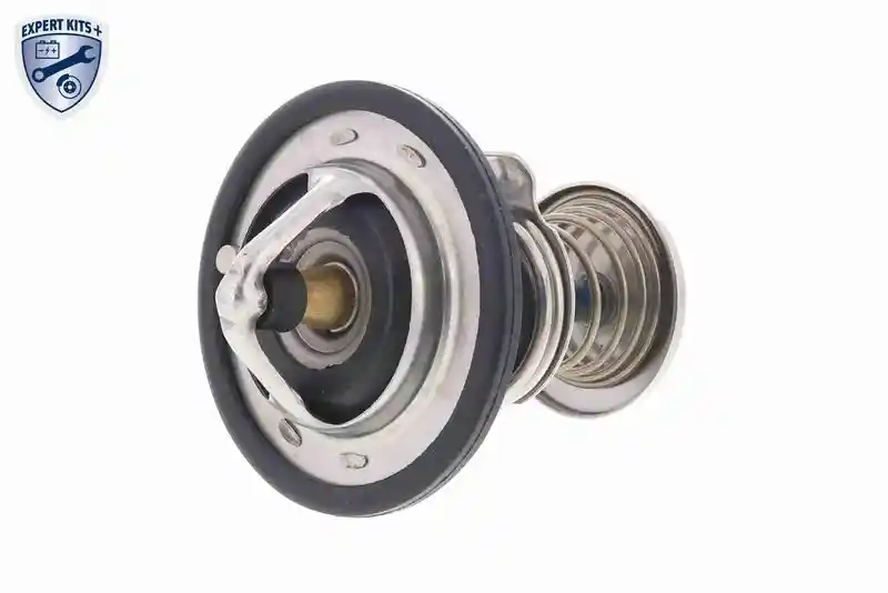 ACKOJA A55-99-0002
