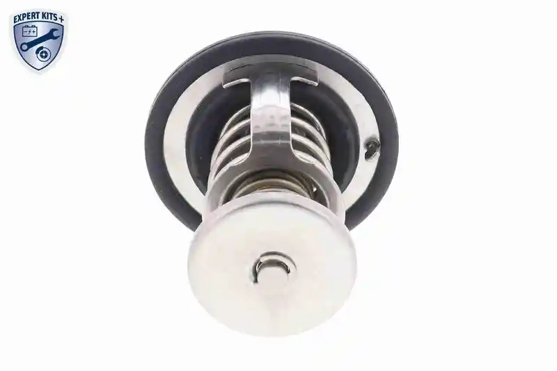 ACKOJA A55-99-0002