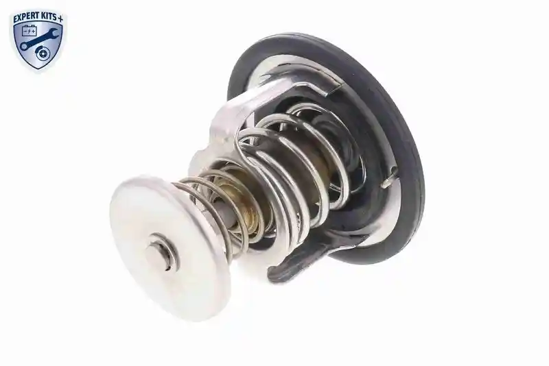 ACKOJA A55-99-0002