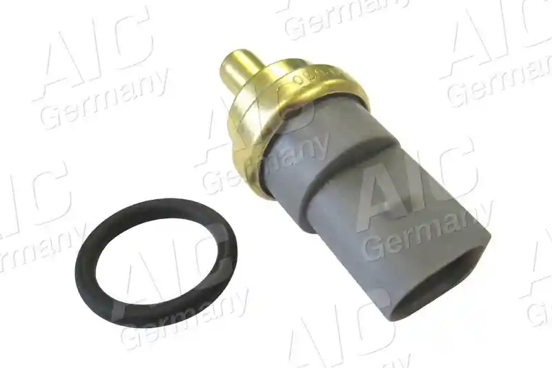 AIC 51169