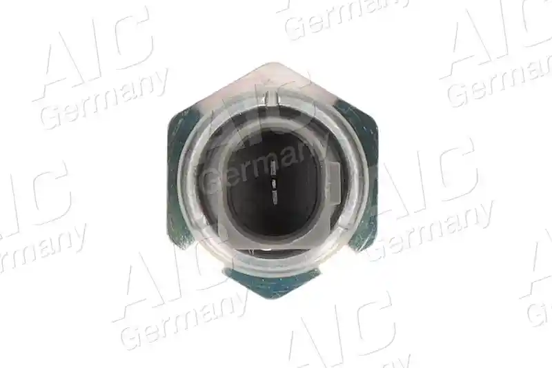 AIC 52685