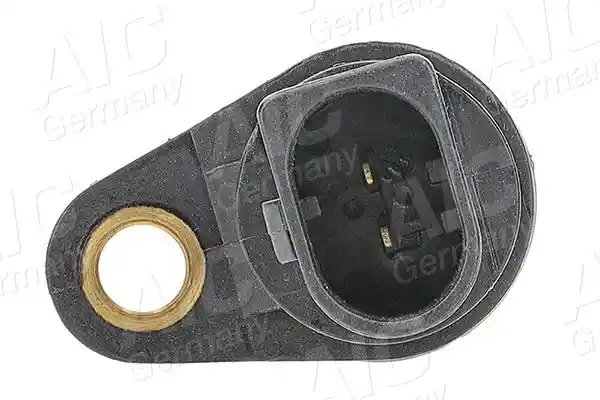 AIC 54451