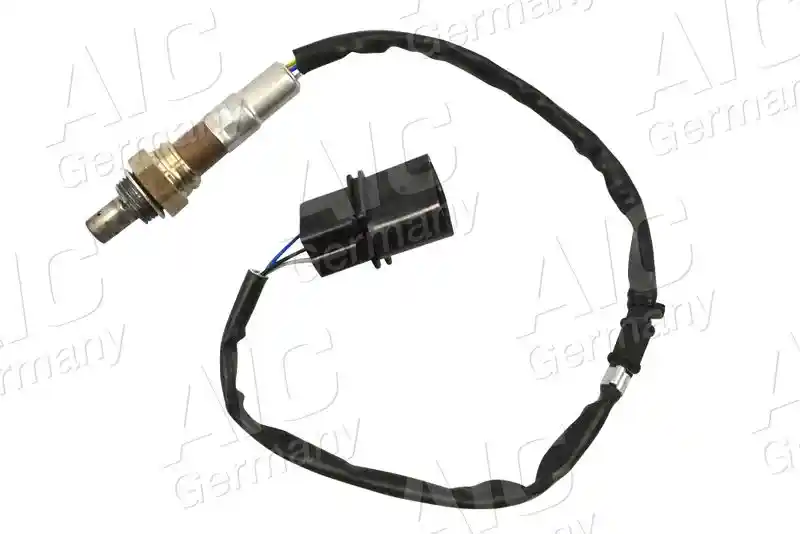 AIC 54520