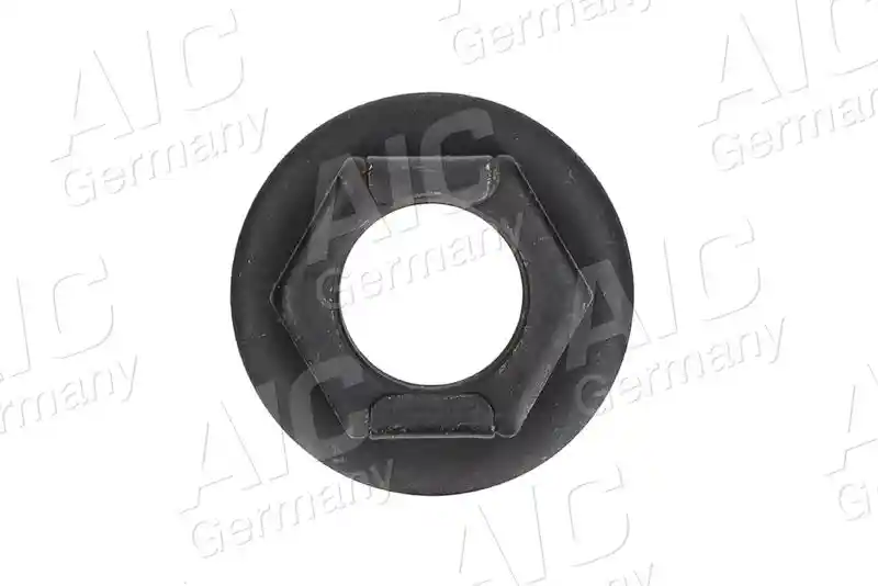 AIC 54736