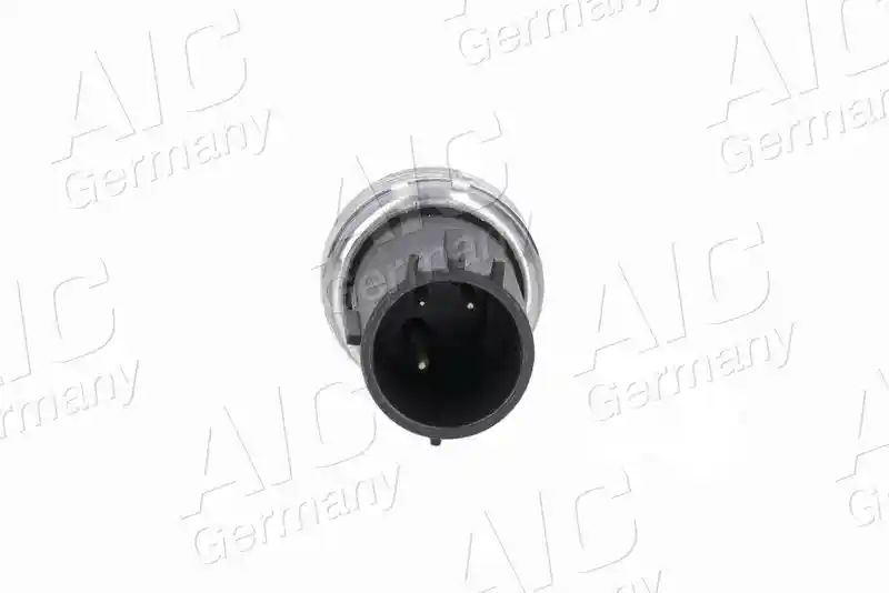 AIC 55238