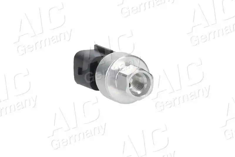 AIC 55239