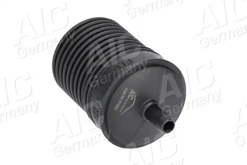 AIC 55266
