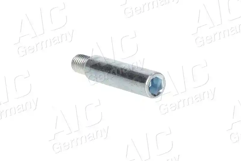 AIC 55282