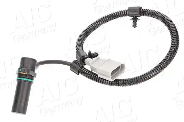 AIC 55306