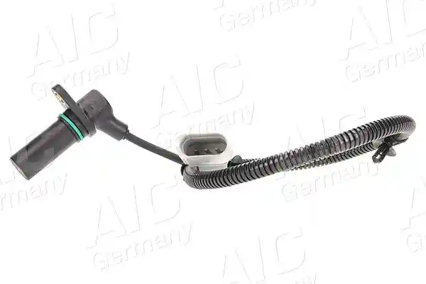 AIC 55306