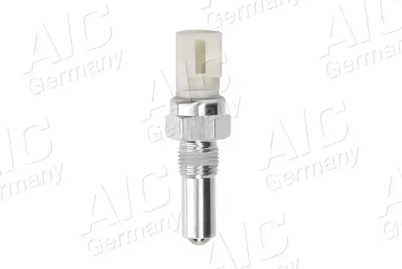AIC 55393
