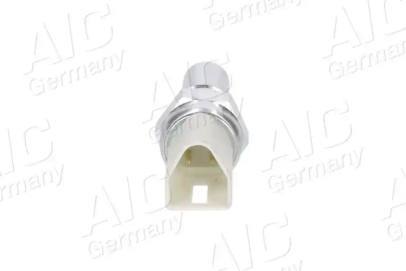 AIC 55393