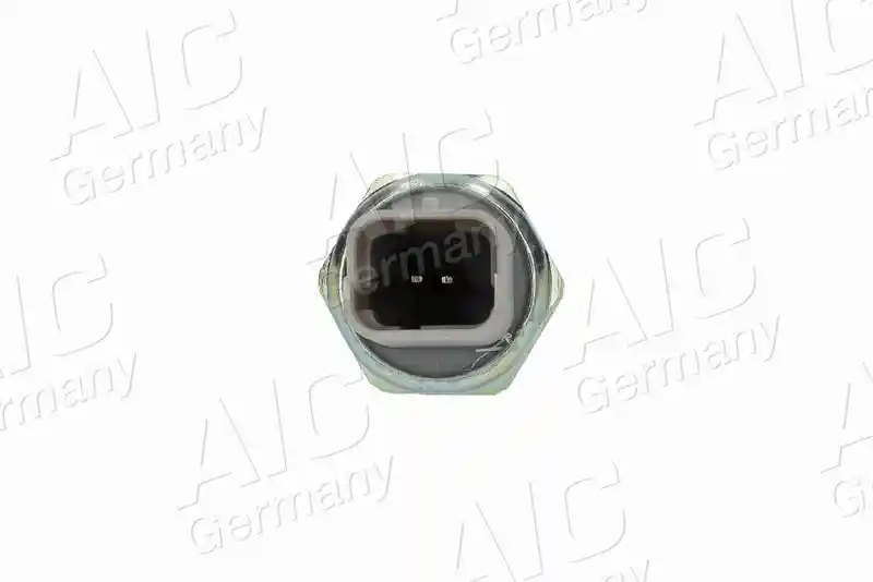 AIC 55394