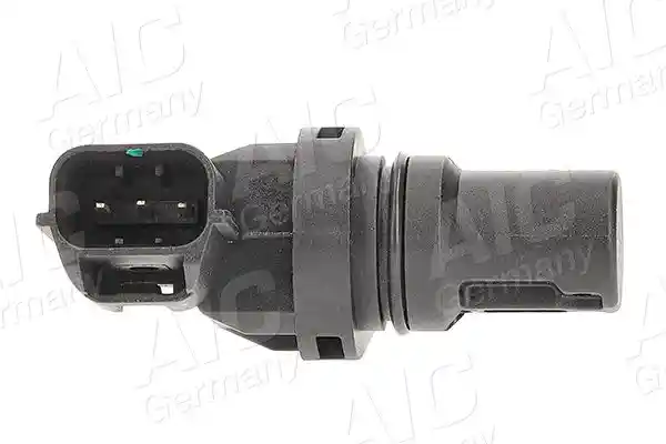 AIC 55438