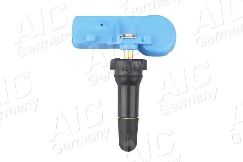 AIC 55529