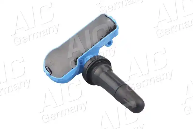 AIC 55529