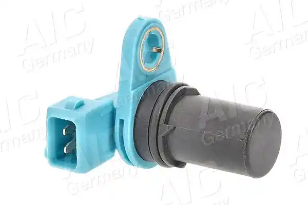 AIC 55531