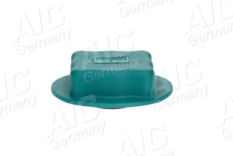 AIC 55597