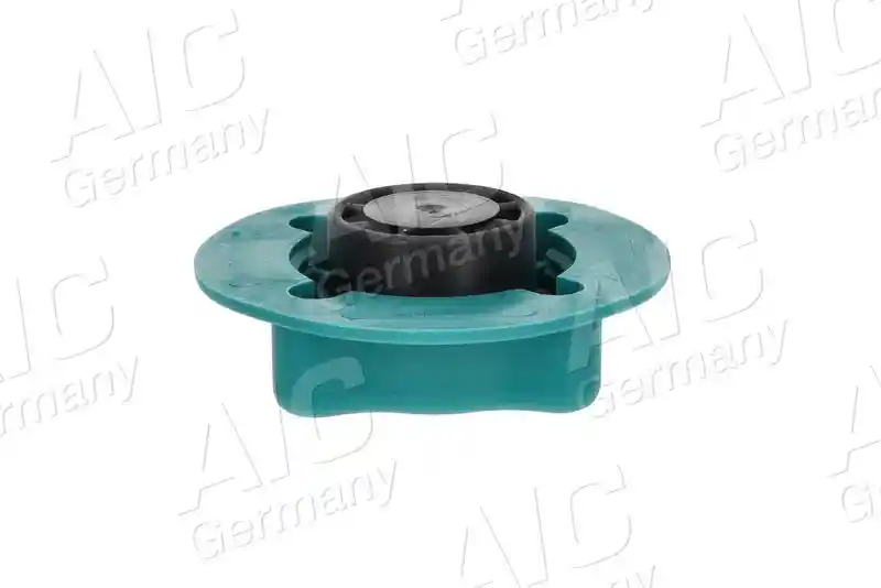 AIC 55597