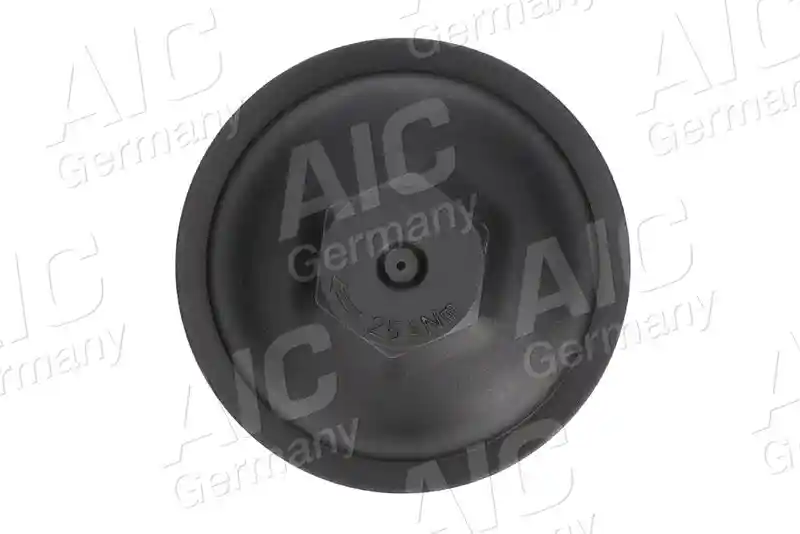 AIC 55599