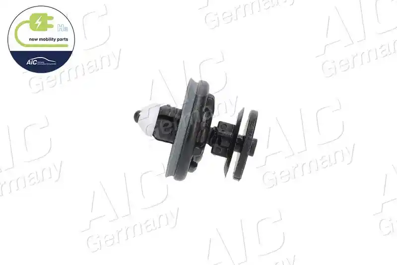 AIC 55656