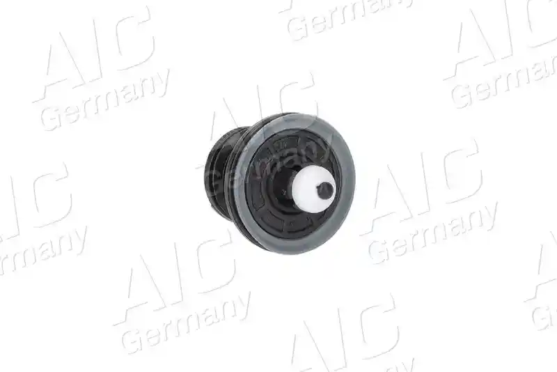 AIC 55656