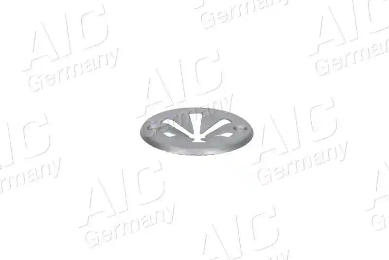 AIC 55663