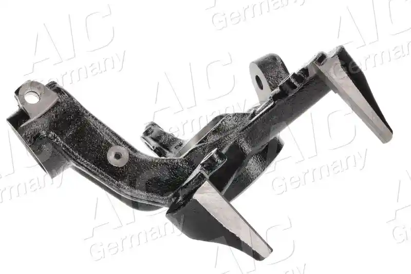 AIC 55699