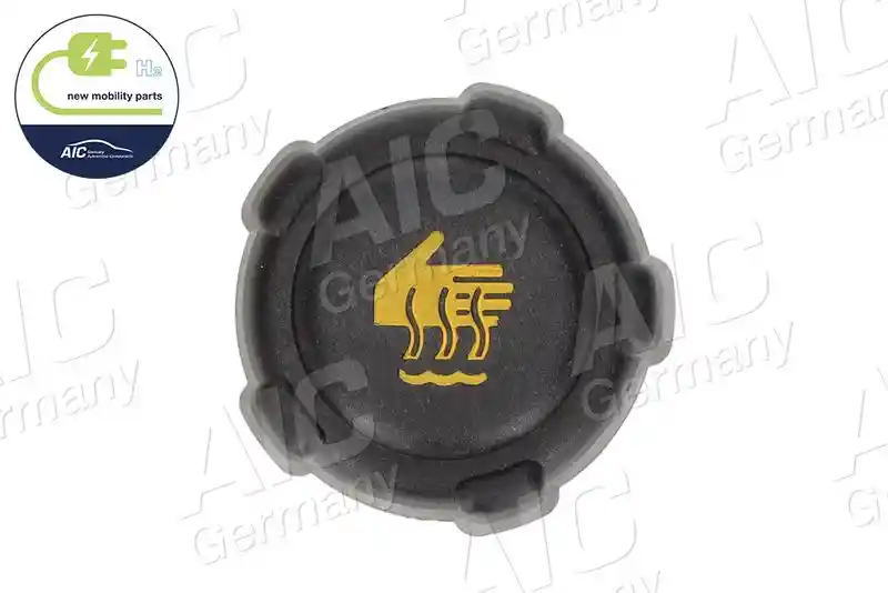 AIC 55731