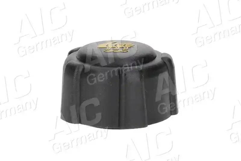 AIC 55731