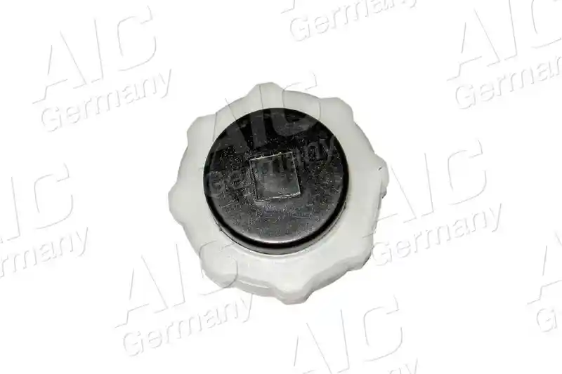 AIC 55733