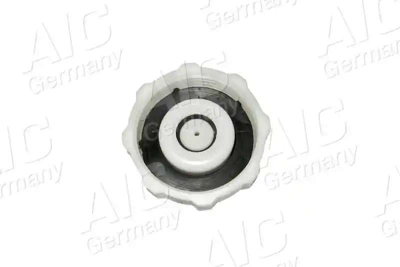 AIC 55733