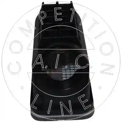 AIC 55777