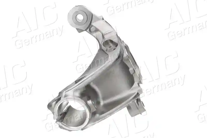 AIC 55825