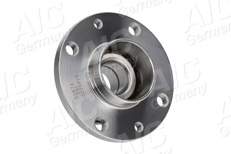 AIC 55874