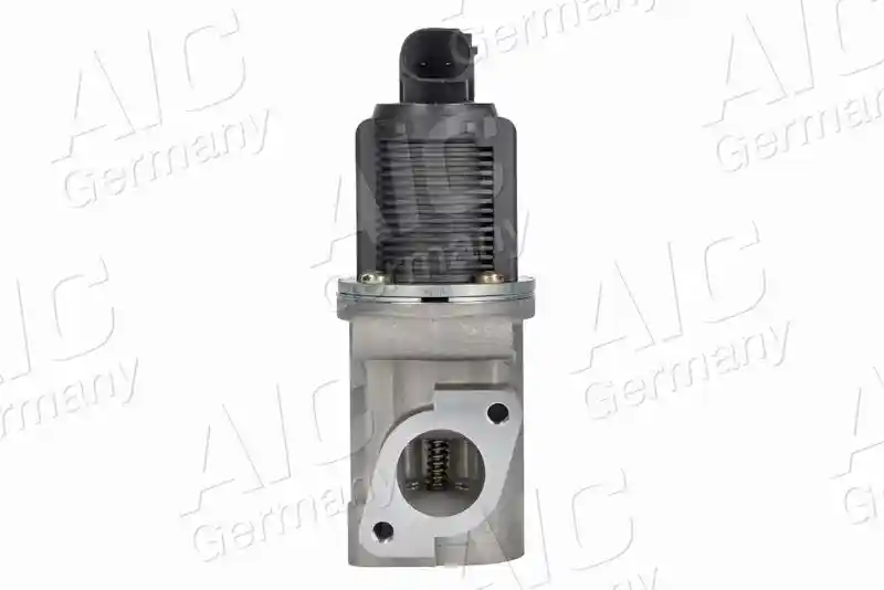 AIC 55898