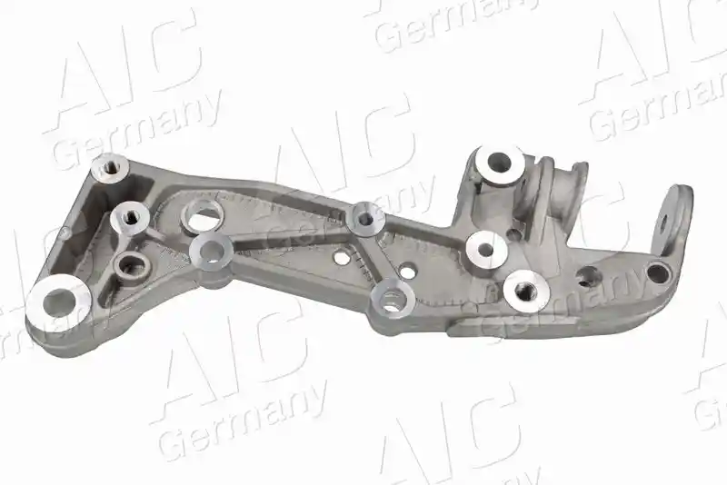 AIC 55951