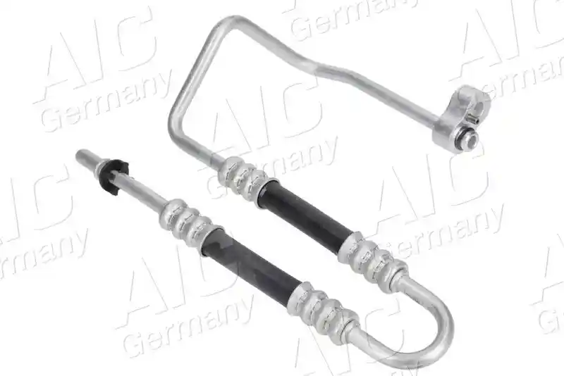 AIC 55968