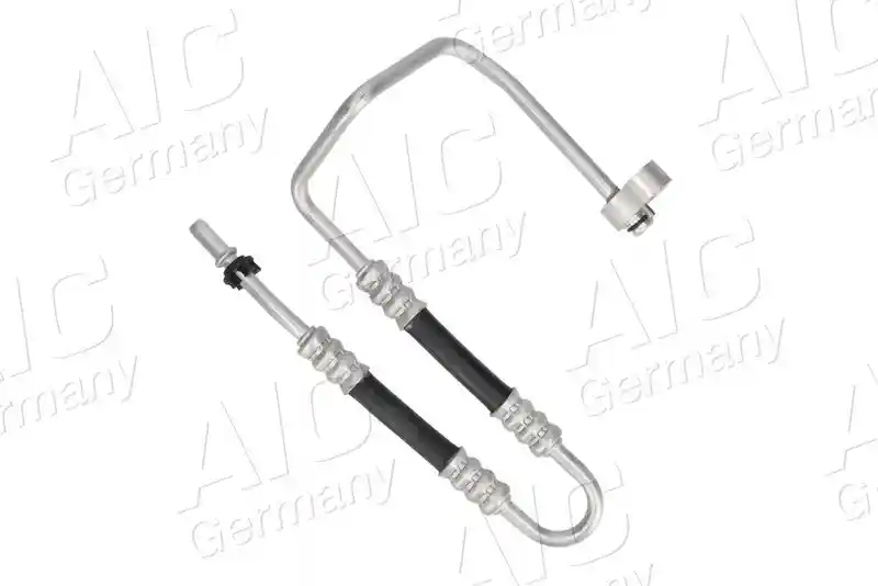 AIC 55968