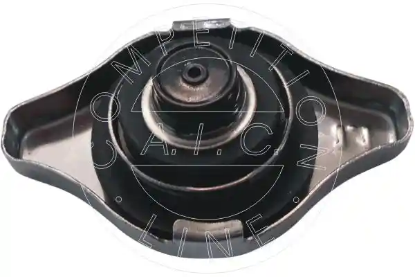 AIC 56048